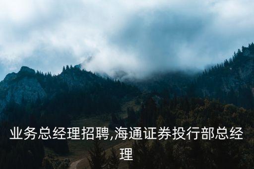 投行业务总经理招聘,海通证券投行部总经理