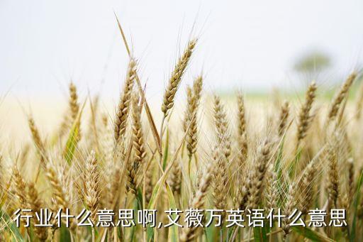 艾薇行业什么意思啊,艾薇万英语什么意思