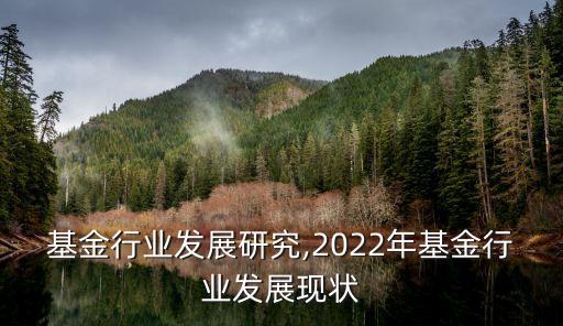中国基金行业发展研究,2022年基金行业发展现状