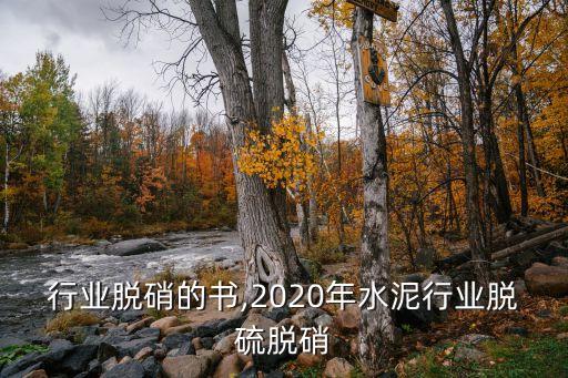 水泥行业脱硝的书,2020年水泥行业脱硫脱硝