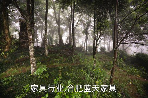 合肥家具行业,合肥蓝天家具