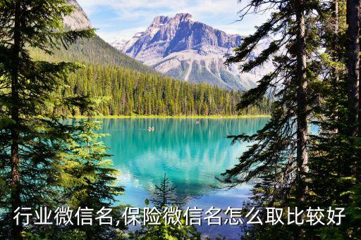保险行业微信名,保险微信名怎么取比较好