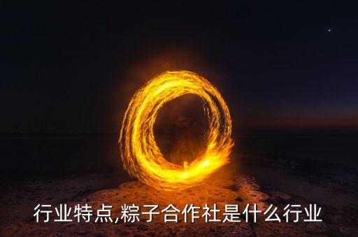 粽子行业特点,粽子合作社是什么行业
