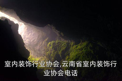 温州室内装饰行业协会,云南省室内装饰行业协会电话