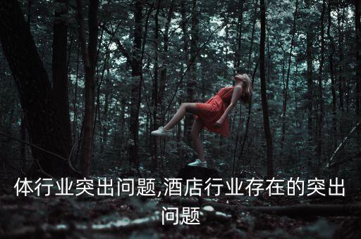 自媒体行业突出问题,酒店行业存在的突出问题