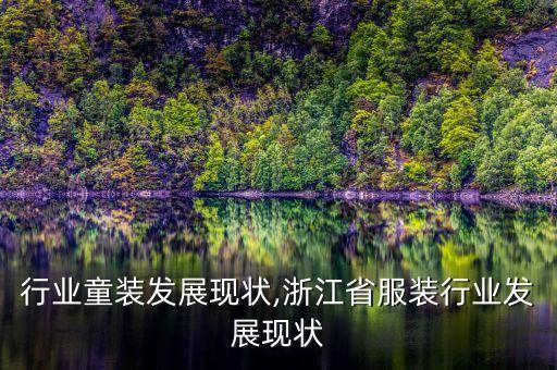 服装行业童装发展现状,浙江省服装行业发展现状