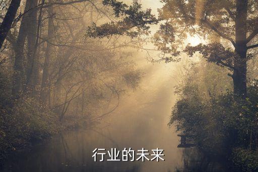 石油行业的未来