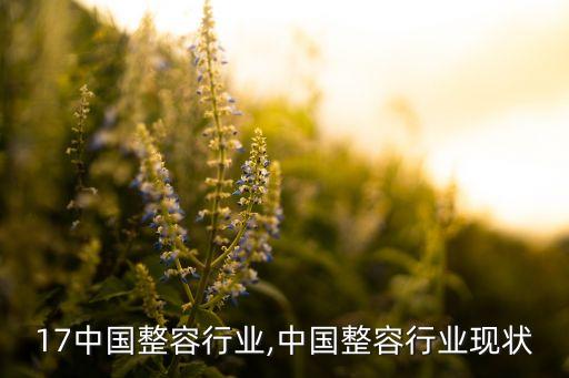 2017中国整容行业,中国整容行业现状