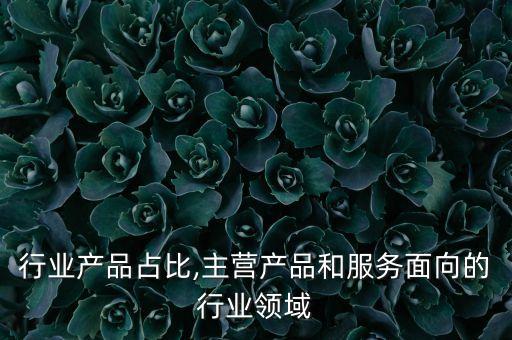 主营行业产品占比,主营产品和服务面向的行业领域