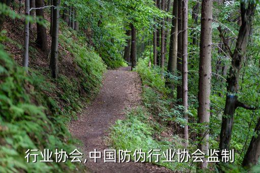 防伪行业协会,中国防伪行业协会监制