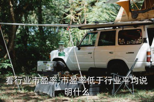 手机看行业市盈率,市盈率低于行业平均说明什么