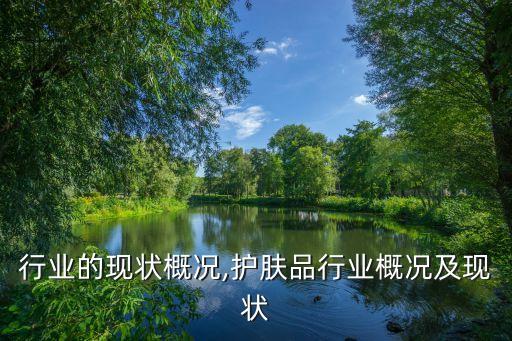 伞具行业的现状概况,护肤品行业概况及现状