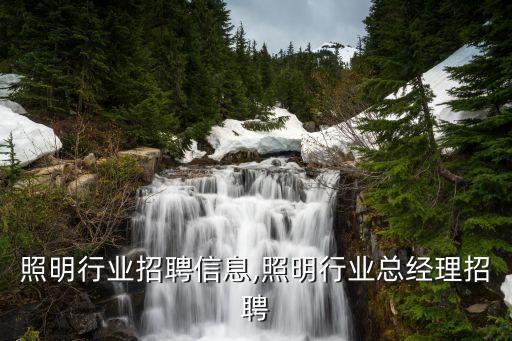 中国照明行业招聘信息,照明行业总经理招聘