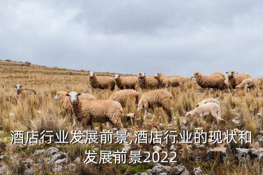 快捷酒店行业发展前景,酒店行业的现状和发展前景2022