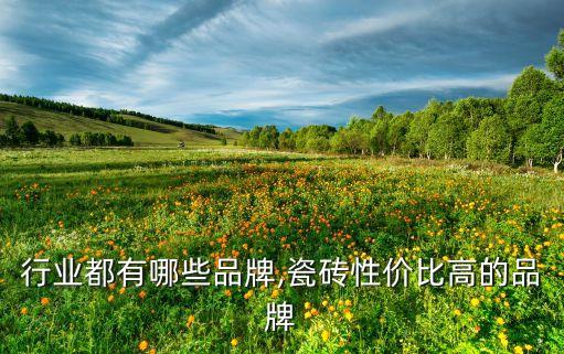 瓷砖行业都有哪些品牌,瓷砖性价比高的品牌