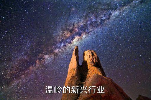 浙江温岭的新兴行业