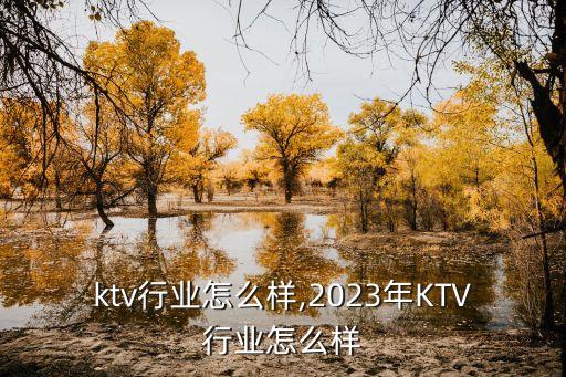 未来ktv行业怎么样,2023年KTV行业怎么样