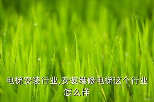 国内电梯安装行业,安装维修电梯这个行业怎么样?