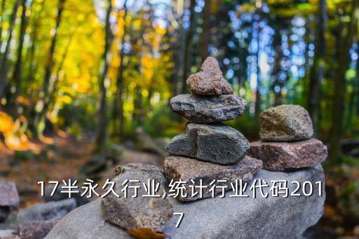 2017半永久行业,统计行业代码2017