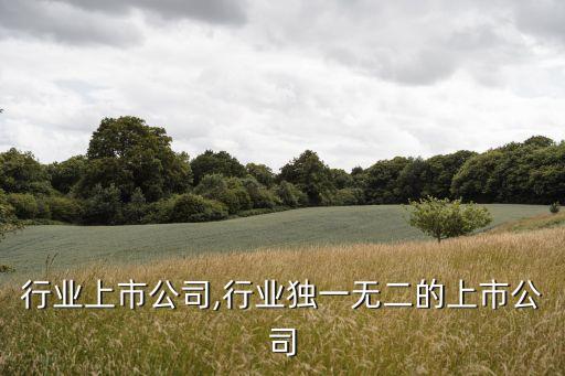 喷墨行业上市公司,行业独一无二的上市公司