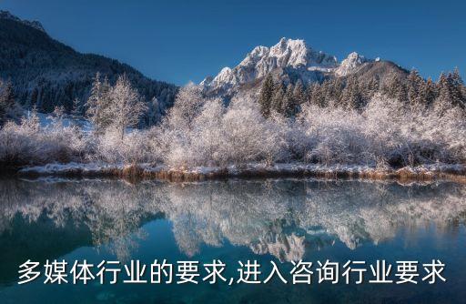 进入多媒体行业的要求,进入咨询行业要求