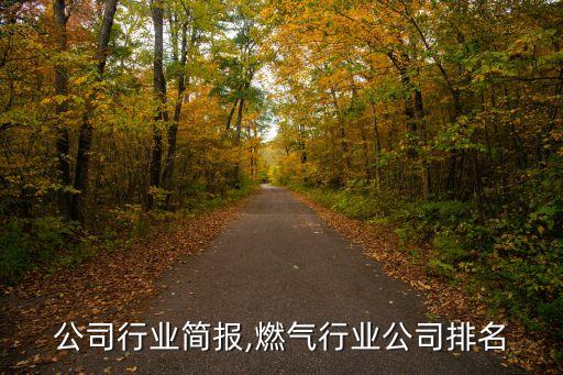 燃气公司行业简报,燃气行业公司排名