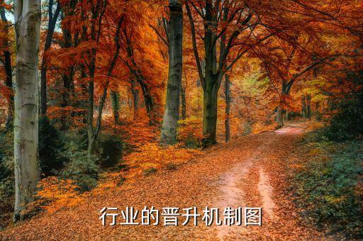 美发行业的晋升机制图