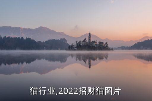 招财猫行业,2022招财猫图片