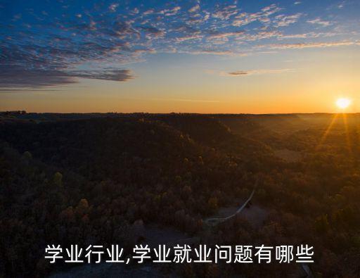 就业学业行业,学业就业问题有哪些