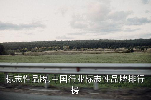 行业标志性品牌,中国行业标志性品牌排行榜