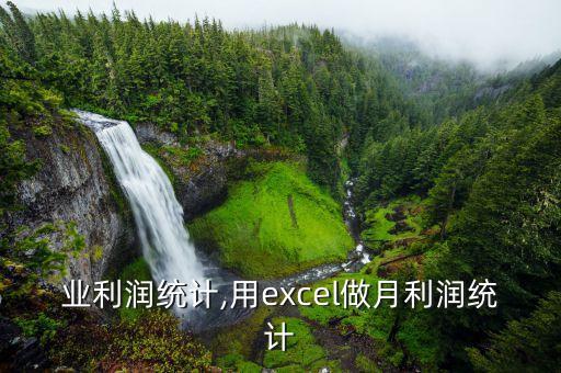 各行业利润统计,用excel做月利润统计