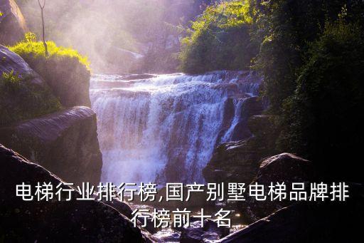 国产电梯行业排行榜,国产别墅电梯品牌排行榜前十名