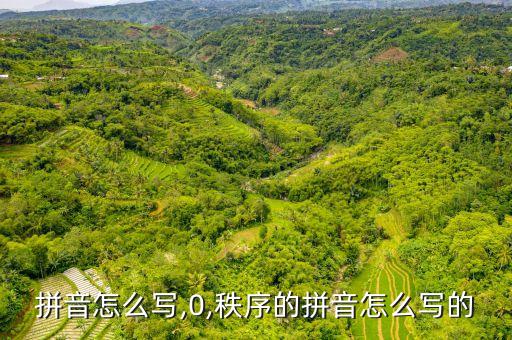 行业拼音怎么写,0,秩序的拼音怎么写的