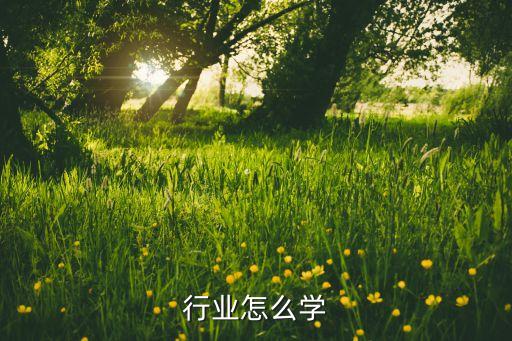 美容行业怎么学