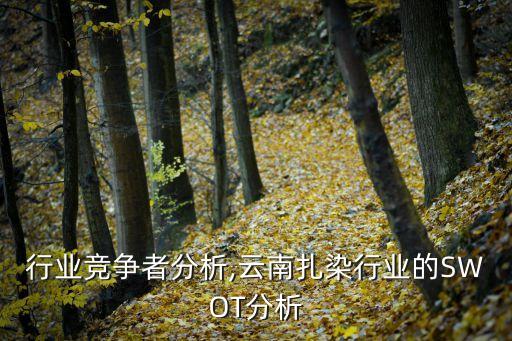 扎染行业竞争者分析,云南扎染行业的SWOT分析