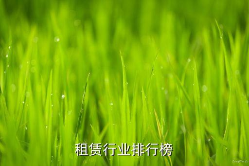 建材租赁行业排行榜