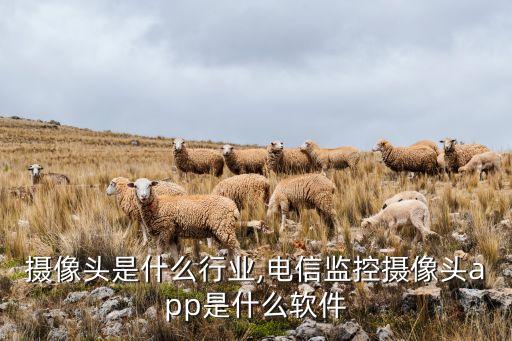 监控摄像头是什么行业,电信监控摄像头app是什么软件
