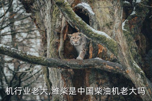 柴油机行业老大,潍柴是中国柴油机老大吗