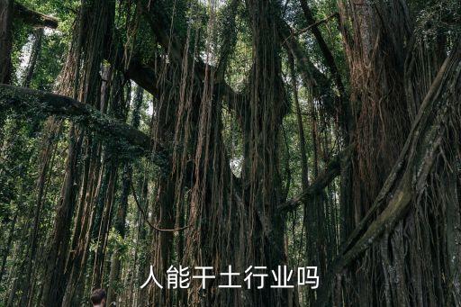 木命人能干土行业吗
