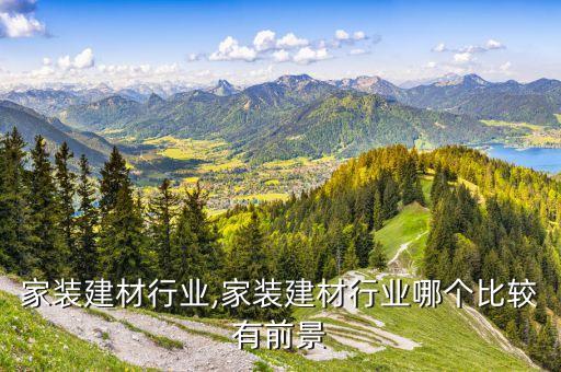成都家装建材行业,家装建材行业哪个比较有前景