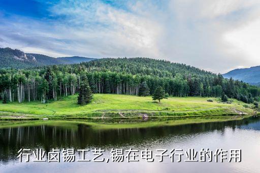 电子行业卤锡工艺,锡在电子行业的作用