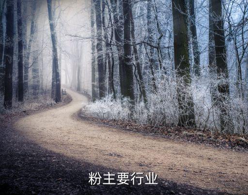 钛白粉主要行业