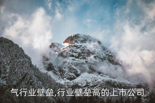 天然气行业壁垒,行业壁垒高的上市公司