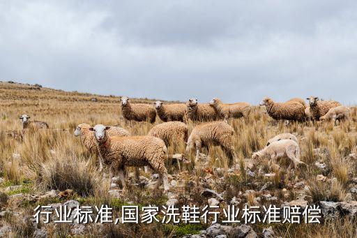 鞋码行业标准,国家洗鞋行业标准赔偿