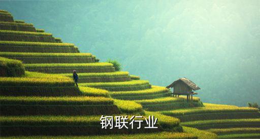 上海钢联行业