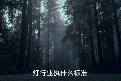 摇头灯行业执什么标准