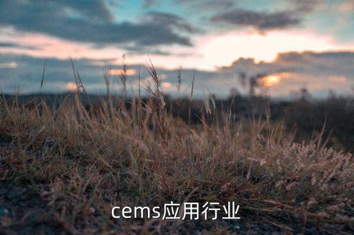 防爆cems应用行业