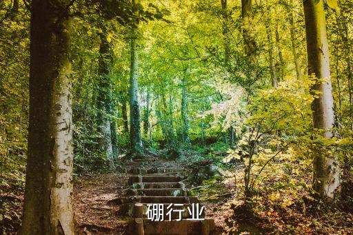 碳化硼行业