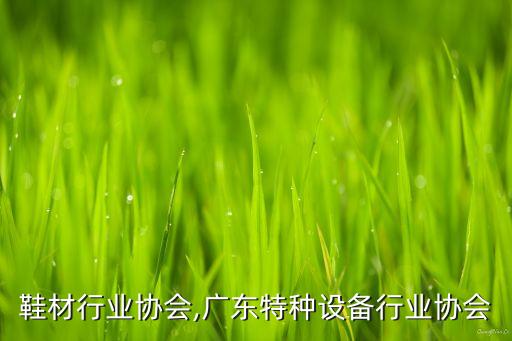 广东鞋材行业协会,广东特种设备行业协会
