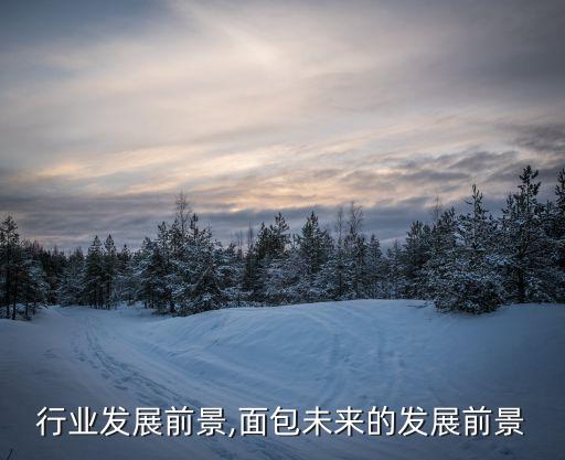 面包行业发展前景,面包未来的发展前景